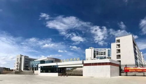 臺商區中考成績不理想怎么辦？經貿咨詢助你規劃新出路