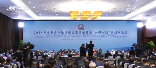 中非攜手，構建多元化經貿合作新格局，為共同繁榮注入強勁動力